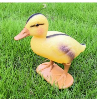 BERMUDA - STANDING DUCKLING